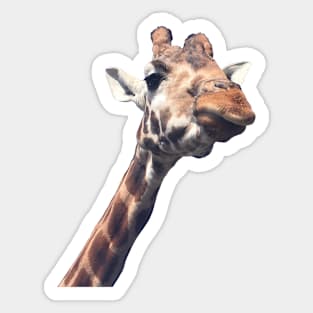 Gerry the Giraffe Sticker